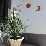 Hébergement de vacances Casa Da Ribeira *